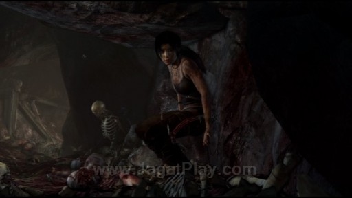 Tomb Raider (83)