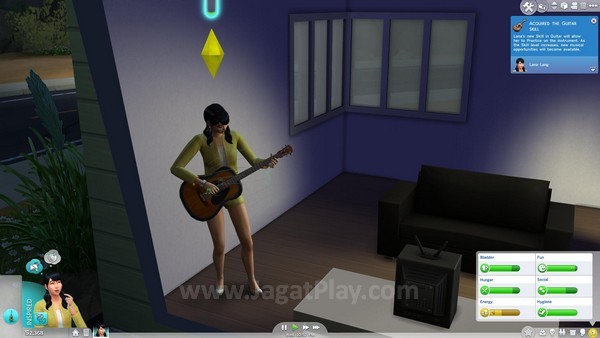 Sims dapat mempelajari banyak skill, tergantung dari kegiatan yang dilakukannya.