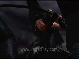 Ninja Gaiden 3 273