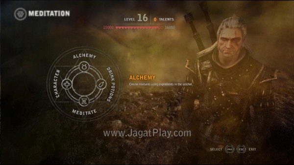 Witcher24