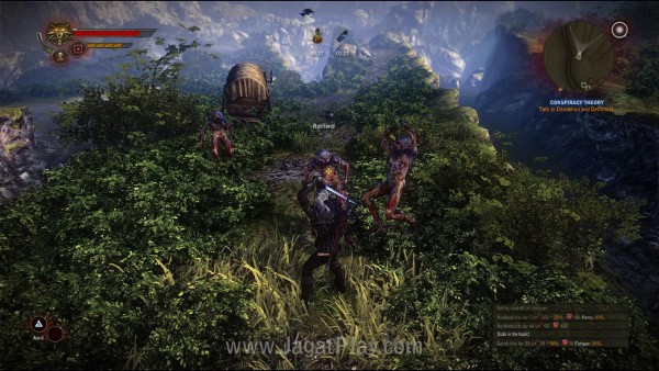 Witcher28