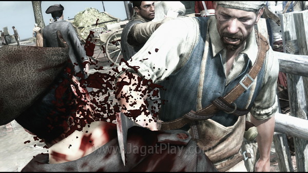 Assassins Creed 3 104