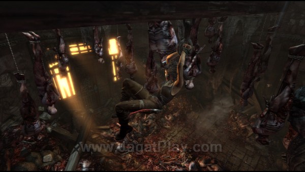 Tomb Raider 80