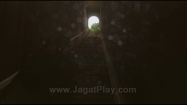 The Last of Us 21