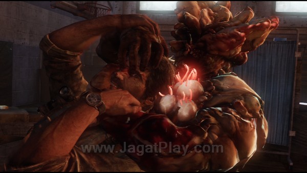 The Last of Us 74