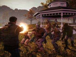 state of decay