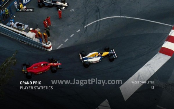 F1 2013 - Game (41)