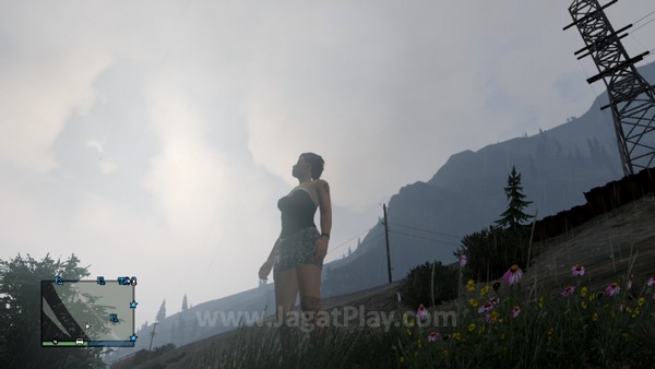 GTA Online (150)