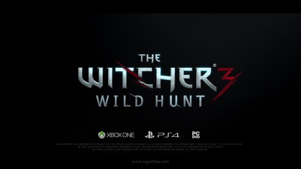 The Witcher 3 - wild hunt VGX 2013 (17)