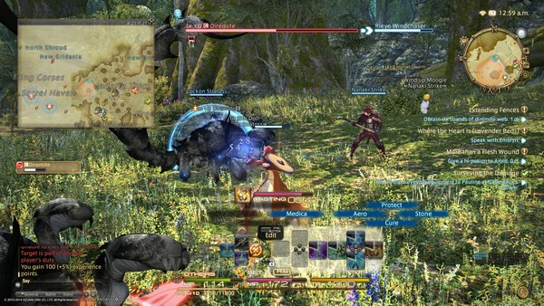 Final Fantasy XIV - ARR JagatPlay (15)