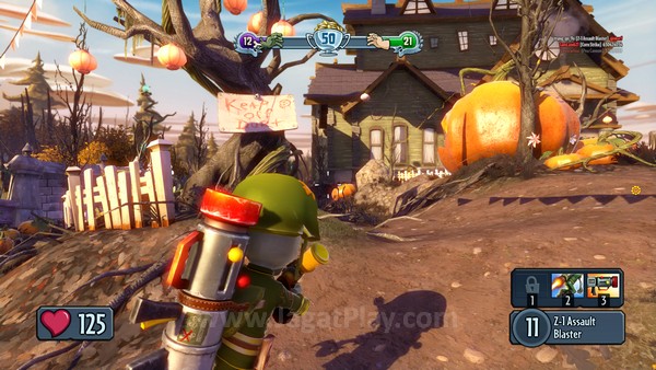 Plants Vs Zombies Garden Warfare (38)