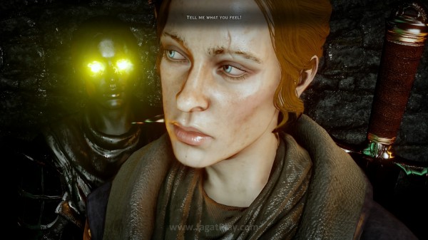 Dragon Age™: Inquisition_20141121105659