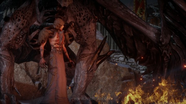 Dragon Age™: Inquisition_20141121162238