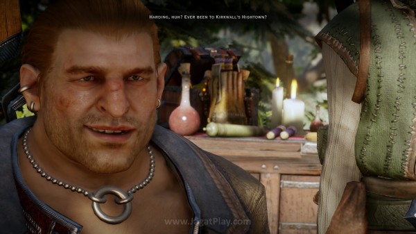 Dragon Age™: Inquisition_20141118233342