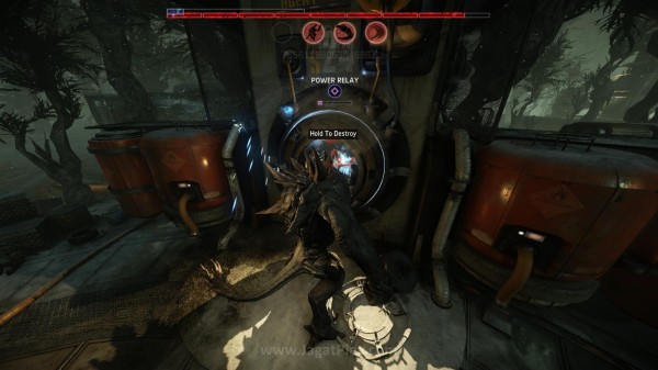 Evolve Big Alpha jagatplay (213)