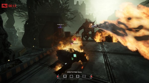 Evolve Big Alpha jagatplay (260)