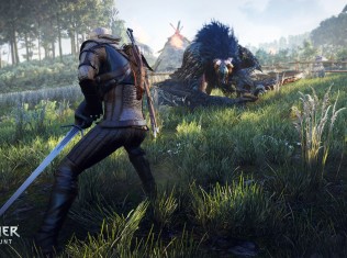 the witcher 31