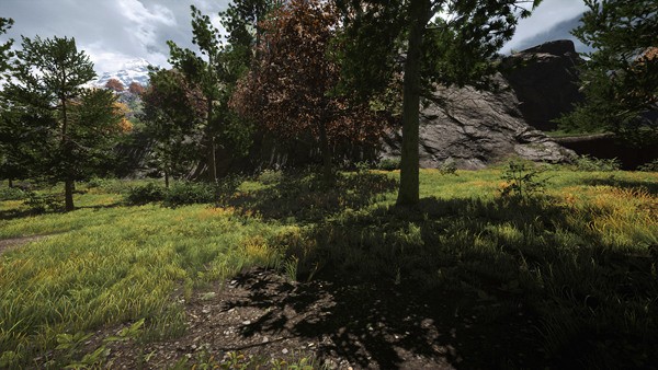 NVIDIA: Rumah Terbaik Untuk Gamer! 16 Shadow – Low