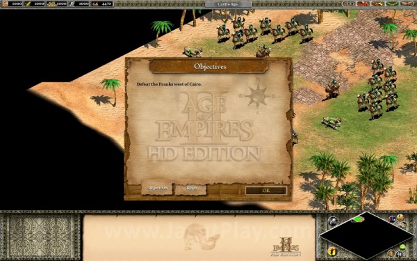 Age of Empires II - 28