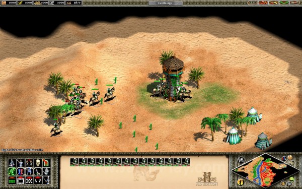 Age of Empires II - 33