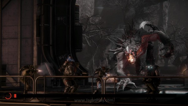Evolve jagatplay (2)