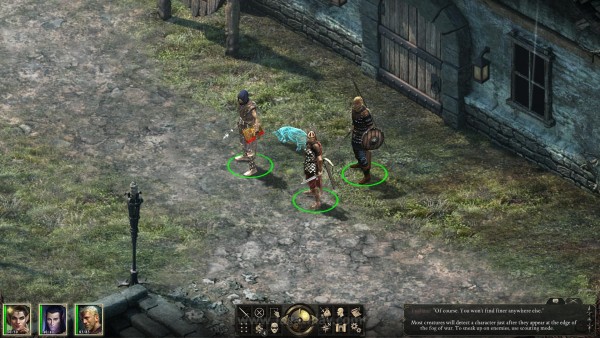 Pillars of Eternity jagatplay (41)