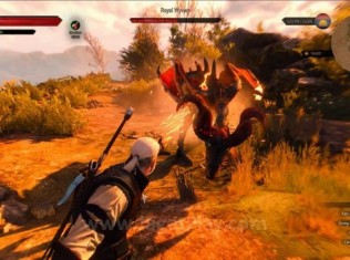 The Witcher 3 wild hunt 7 minutes gameplay 28 600x338