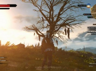 The Witcher 3 jagatplay 69 600x3381