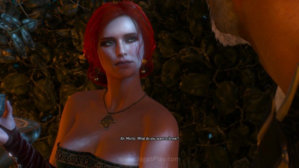 Review The Witcher 3: Pengalaman RPG Tanpa Banding! 12 Hal sama yang membuat kami