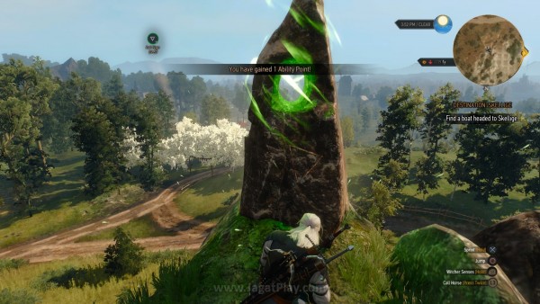 Review The Witcher 3: Pengalaman RPG Tanpa Banding! 22 Tidak hanya kenaikan level, Ability Points juga bisa didapatkan dengan