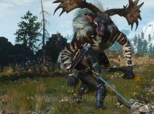 The witcher 3 rage and steel 13