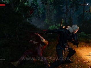 the witcher 3 ps4 10