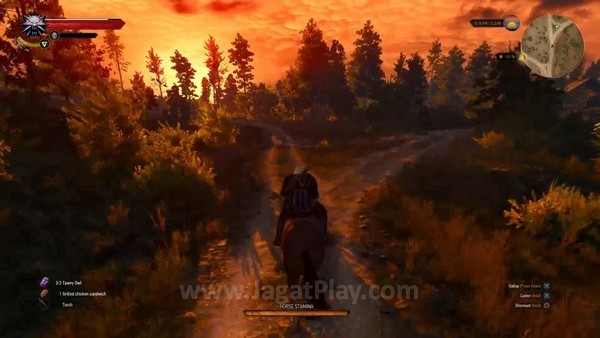the witcher 3 ps4 (12)