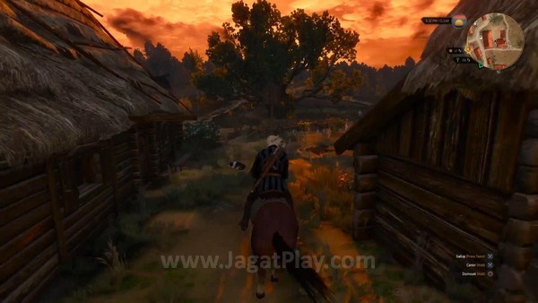 the witcher 3 ps4 (13)