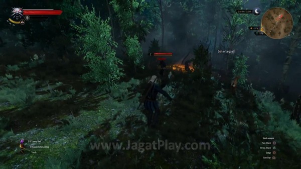 the witcher 3 ps4 (3)