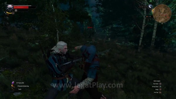 the witcher 3 ps4 (7)