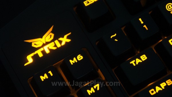 Asus Strix Tactic Pro jagatplay