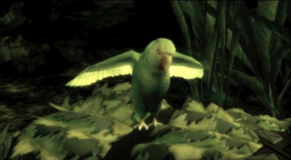 parrot
