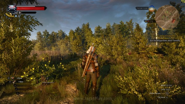 GeForce GTX 980 Ti playtest jagatplay (15)