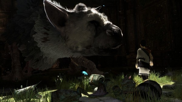 the last guardian