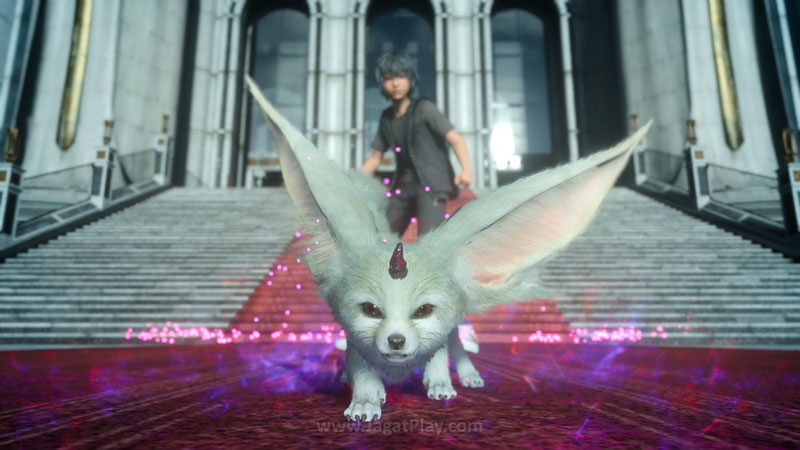 feat image platinum demo ff