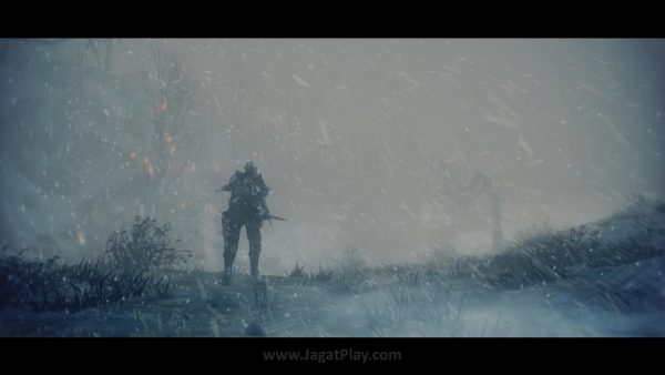 Ashes of Ariandel (1)