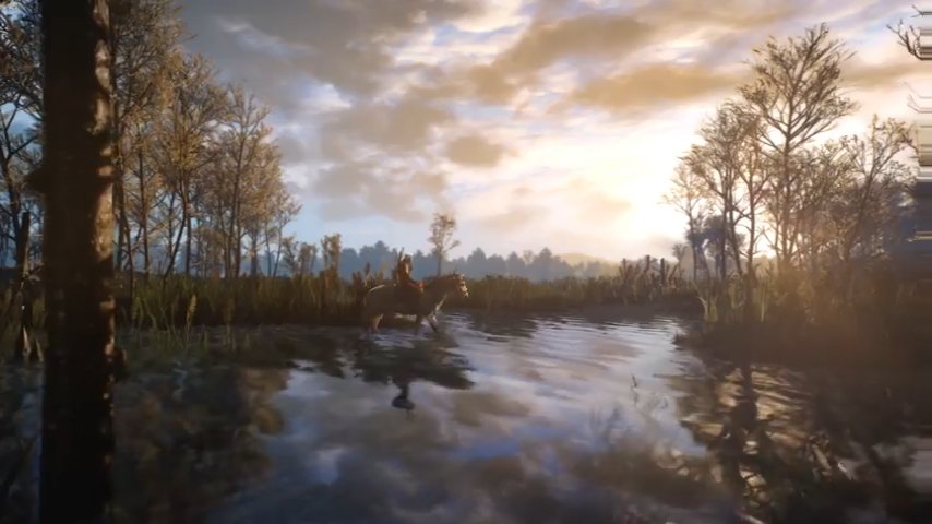 the witcher 3