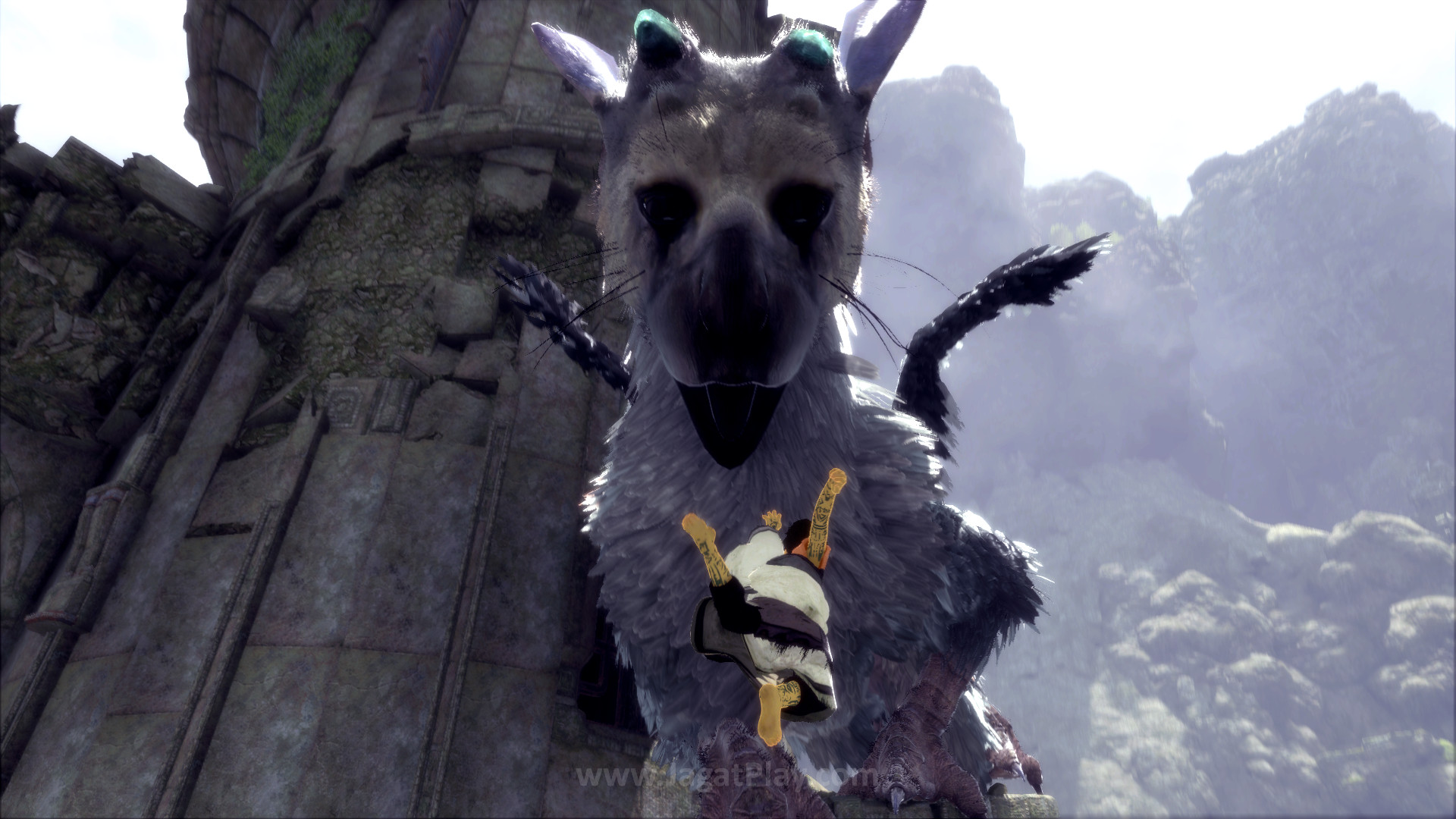 The Last Guardian Hentai