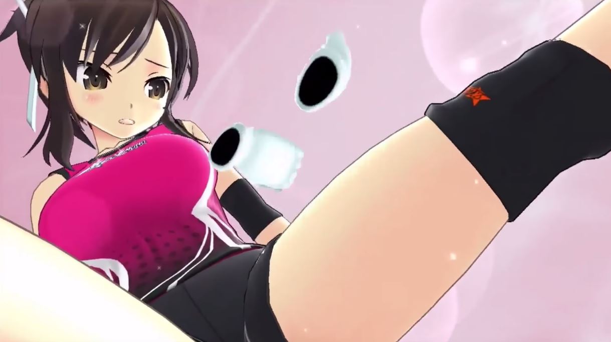 senran kagura switch