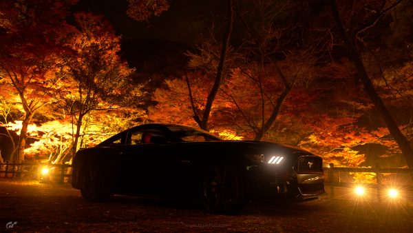 Gran Turismo Sport jagatplay part 1 (186)