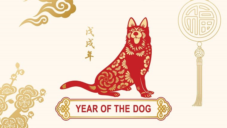 year of the dog