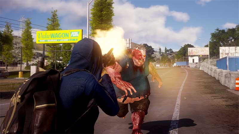 state of decay 22
