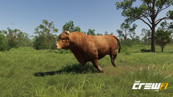 The Crew 2 jagatplay PART 1 177