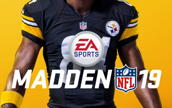 madden 600x376 1